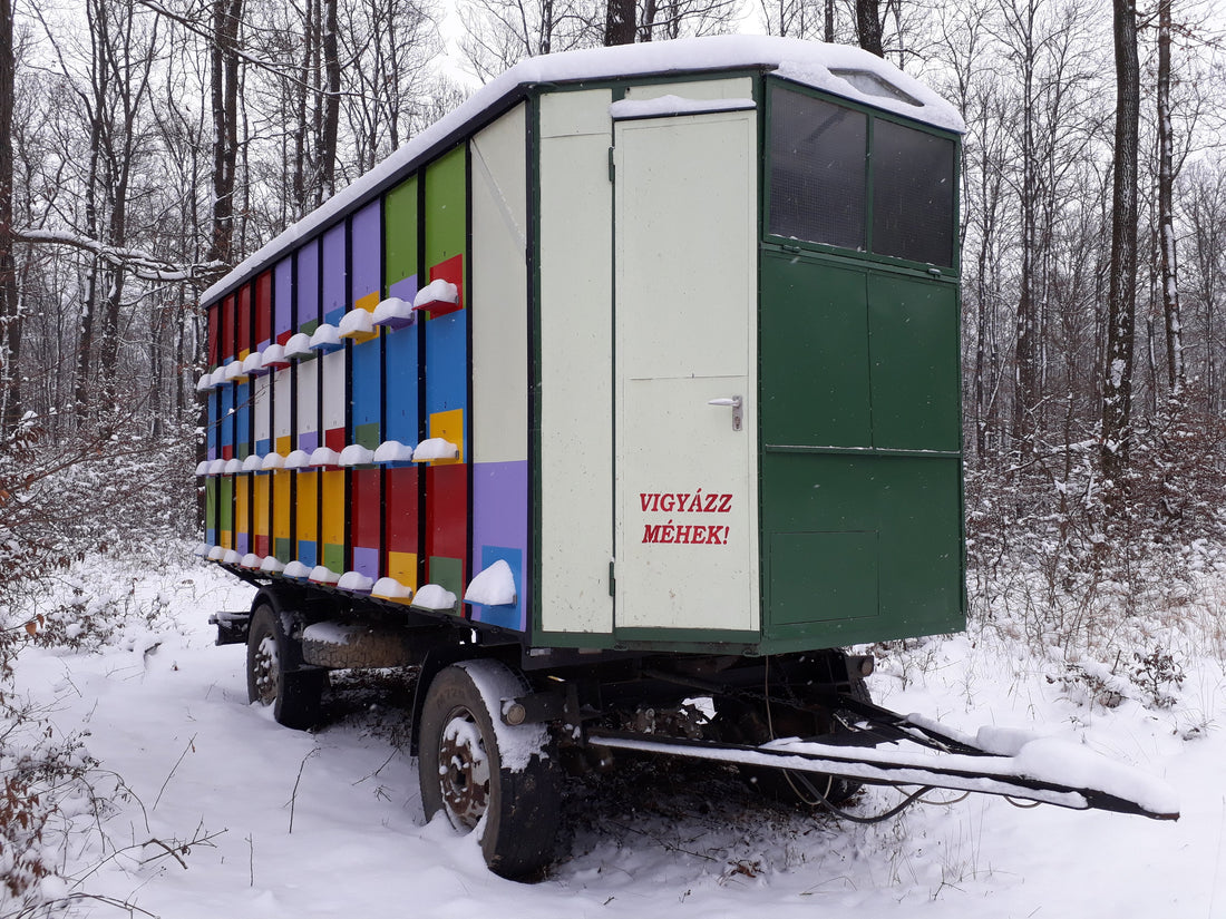 Ünnepi tájékoztató🎉